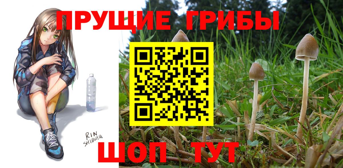 Псилоцибиновые грибы Magic Shrooms Саяногорск