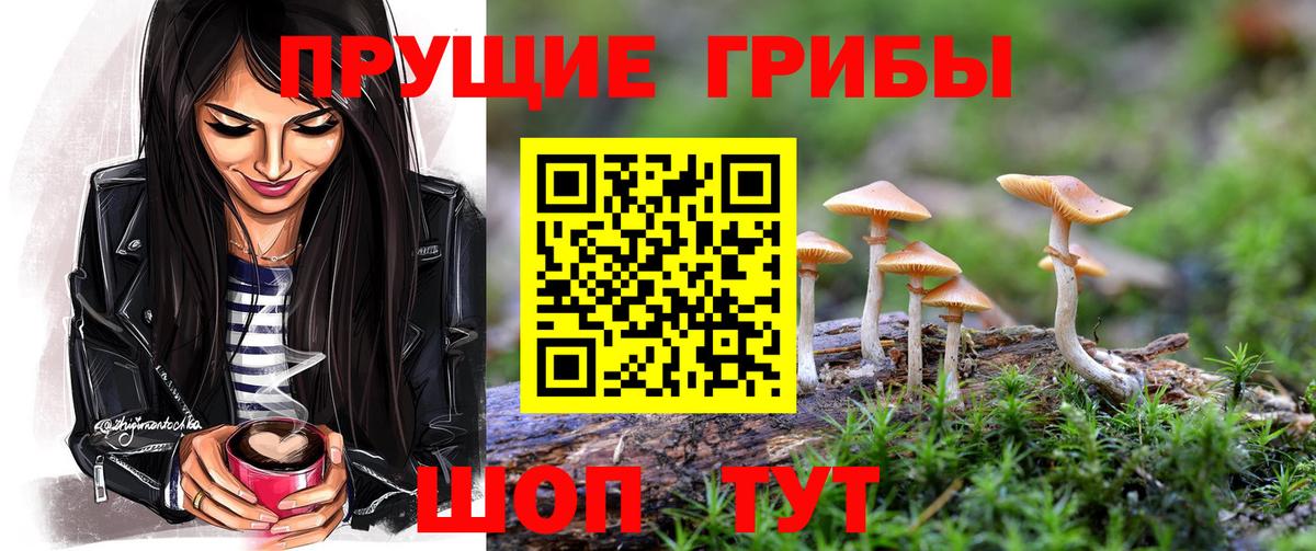 наркошоп  Галлюциногенные грибы GOLDEN TEACHER  Вход с VPN  Галлюциногенные грибы Psilocybe  Саяногорск 